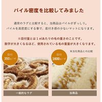 イケヒコ ピオス 玄関マット 500×800mm ブルー 1311420041701 1枚（直送品）