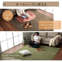 イケヒコ プリーム ラグ 1850×1850mm ブラウン 1280400061203 1枚（直送品）