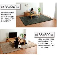 イケヒコ グランド ラグ 1850×3000mm グレー 1290970135801 1枚（直送品）
