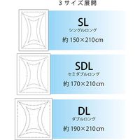 イケヒコ・コーポレーション 掛け布団 滅ダニ セミダブルロング 1202890022702 1枚