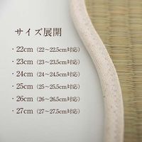 イケヒコ・コーポレーション 足さらっとインソールPro 26cm 1360100010601 1枚（直送品）