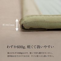 イケヒコ 浴室畳マット 600×800mm 1360170010103 1枚（直送品）
