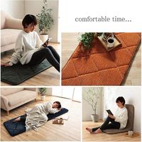 イケヒコ グランド 座布団 600×600mm オレンジ 1221060201691 1枚（直送品）