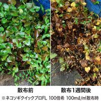 レインボー薬品 ネコソギクイックプロFL 300ml 4903471100698 1個（直送品）