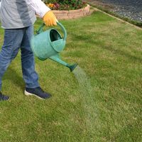 レインボー薬品 シバキープPro顆粒水和剤 1.2g×2包 4903471101787 1個（直送品）