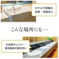 花王 フィエスタ洗顔・手洗いフォーム 2L 508652 1箱(3個入)