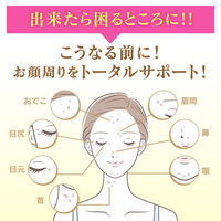 ケシミン浸透化粧水 とてもしっとり 詰替用 140mL 小林製薬