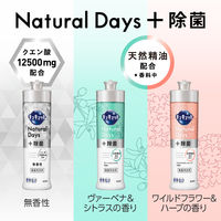 キュキュット Natural Days+除菌  ワイルドフラワー＆ハーブ 詰め替え 700mL 1個 食器用洗剤 花王