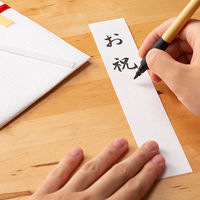 マルアイ プリンター対応目録金封 GP-キモクロク 1枚