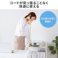 サンワサプライ  USBハンドセット MM-HSTC08BK（直送品）