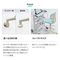 【軒先渡し】Netforce ネットフォース エヌウェルケア サンテ ナースチェア キャスター+固定脚 ハイタイプ レザー ピンク 1脚（直送品）