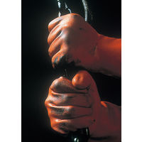 ショーワグローブ ショーワ 塩化ビニール手袋 No620ニューロングビニローブ オレンジ Lサイズ NO620-L 1双 383-9974（直送品）