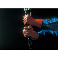 ショーワ 塩化ビニール手袋 まとめ買い 簡易包装ニュービニローブ(10双入) オレンジ Mサイズ NO610-M10P 1袋(10双)（直送品）