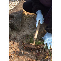 SHOWA ニトリルゴム背抜き手袋 No265ピッタリ背抜き強力ロング ブルー 3双パック Mサイズ NO265-M3P 1パック(3双)（直送品）