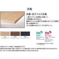 【組立設置込】コクヨ WT-400 抗菌 ボート形 配線カバー 幅3600×奥行1200mm W40-BW3612CV-6AB81 1台（直送品）