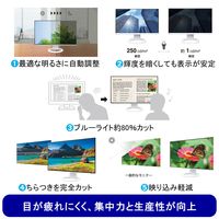 EIZO <FlexScan>23.8インチカラー液晶モニター(1920x1080/ホワイト) EV2480-ZWT 1個