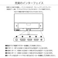 27インチ 液晶ディスプレイ(2560x1440/IPS/HDR10/HDMIx2/DP/チルト1年保証) JN-IPS27WQHDR（直送品）