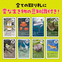 アーテック 変ないきものかるた 3568 1セット(5個)