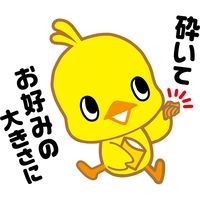 日清食品 0秒チキンラーメン 75g 1セット（5食） お菓子 スナック インスタントラーメン 袋麺