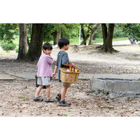 リングスター Starke-R バスケット オリーブドラブ L310×W249×H209mm STR-310 OD 1個