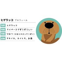 デコレコーポレーション お先にお風呂小物入れ HG-43819 1組（直送品）