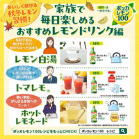 【機能性表示食品】ポッカレモン100 濃縮還元レモン果汁100％ 450ml　1本