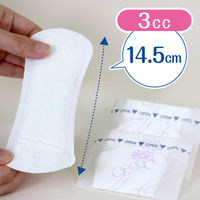 吸水パンティライナー 3cc 44枚 羽なし ポイズ さらさら素肌 スライドストッカー 1セット（12個）尿漏れ  限定