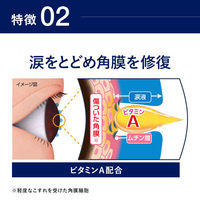 スマイル40メディクリアDX 15ml ライオン　目薬 目のかゆみ・充血 ビタミンA配合【第2類医薬品】