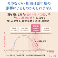 ビスラットアクリアEX 70錠 小林製薬【第2類医薬品】