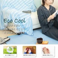 1枚 冷感 1帖 ルームマット ネイビー 約80×170cm ラグ ひんやり 接触冷感 春 夏 カーペット ラグマット 冷たい 涼感 涼しい（直送品）