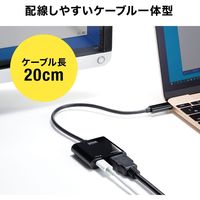 サンワサプライ USB Type C-HDMI変換アダプタ(4K/60Hz/PD対応) AD-ALCPHDPD 1個（直送品）