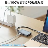 サンワサプライ USB Type C-HDMI/VGA変換アダプタ(4K/30Hz/PD対応) AD-ALCHV02 1個
