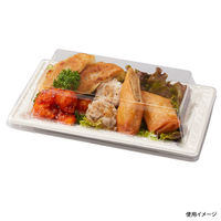 パックスタイル エコ容器 WB麦バガス プレート20-12 パルプモールド プレート本体 白色　1000枚(50×20) 639717（直送品）