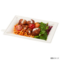 エコ容器 WB麦バガス プレート20-15 パルプモールド プレート本体 白色 800枚(50×16) 639718（直送品）