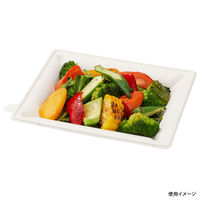 パックスタイル エコ容器 WB麦バガス プレート20-17 パルプモールド プレート本体 白色　600枚(50×12) 639720（直送品）