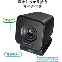サンワサプライ ワイヤレスWEBカメラ CMS-V65BK 1個