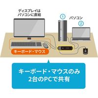 サンワサプライ 手元スイッチ付きパソコン自動切替器(2:1) SW-KVM2WVUN2 1個