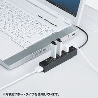 サンワサプライ USB2.0ハブ(10ポート) USB-2H1001BKN 1個（直送品）