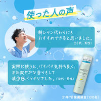 メリットデイプラス ドライシャンプー バーベナ＆レモンの香り 130g 花王