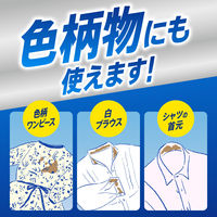 アタック泡スプレー 除菌プラス 本体 300ml 1個 衣料用洗剤 花王