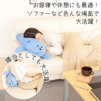 クリエイトアルファ 1個 接触冷感エニモー抱き枕 （イルカ） 4582243774987-iruka-1（直送品）