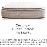三栄コーポレーション 圧縮ポケットコイルマットレス厚さ24.5cmホテル仕様ダブル A1-ETDM_AS 1個（直送品）