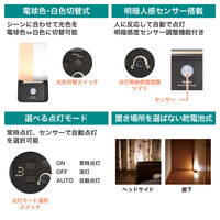 朝日電器 もてなしライト HLH-2204 1個
