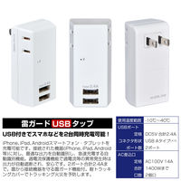 朝日電器 耐雷USBタップ2個口2ポート2.4A UA-222SL 1個