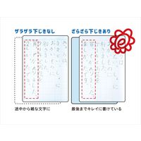 レイメイ藤井 先生おすすめ 魔法のザラザラ下じき B5 0.3mmドット ブルー U783A 1セット(2個)