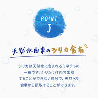伊藤園 強炭酸水 ミネラル ストロング 500ml シリカ含有 1箱（24本入）