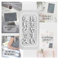 アイ・エス カラー文字 何度でも書き消しできる 電子メモパッド 12インチ[ブラック] IDM02-12C-BK 1個（直送品）