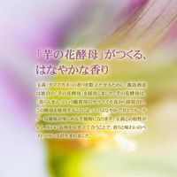 茜霧島 25度　1.8L パック　1箱（6本入）　芋焼酎 霧島酒造