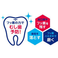 BUTLER(バトラー) エフペースト 70g 1セット(2本) こども 歯磨き粉 フッ素配合 むし歯予防 [フルーツミント味 サンスター]