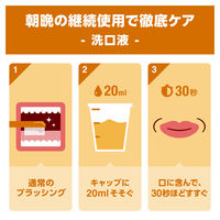 リステリン オリジナル 強刺激 ビタードライ味 500mL 1セット（2本）口臭対策 マウスウォッシュ 洗口液 医薬部外品